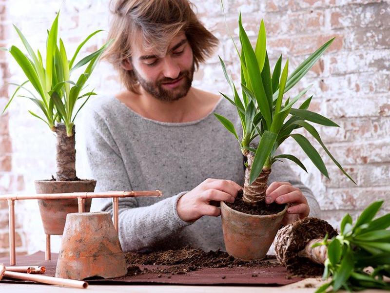 Yucca-DIY-tip: koperen plantenstandaard