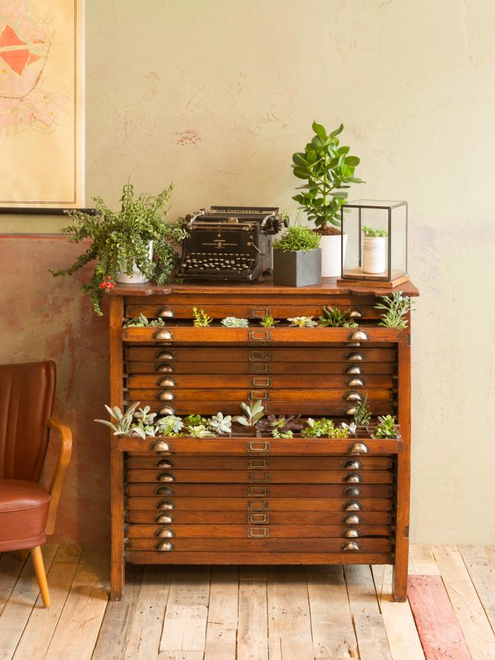 An apothecary cabinet full of plants on thejoyofplants.co.uk