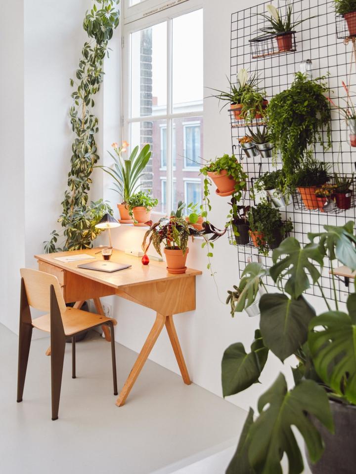 Plant Design voor je thuiswerkplek