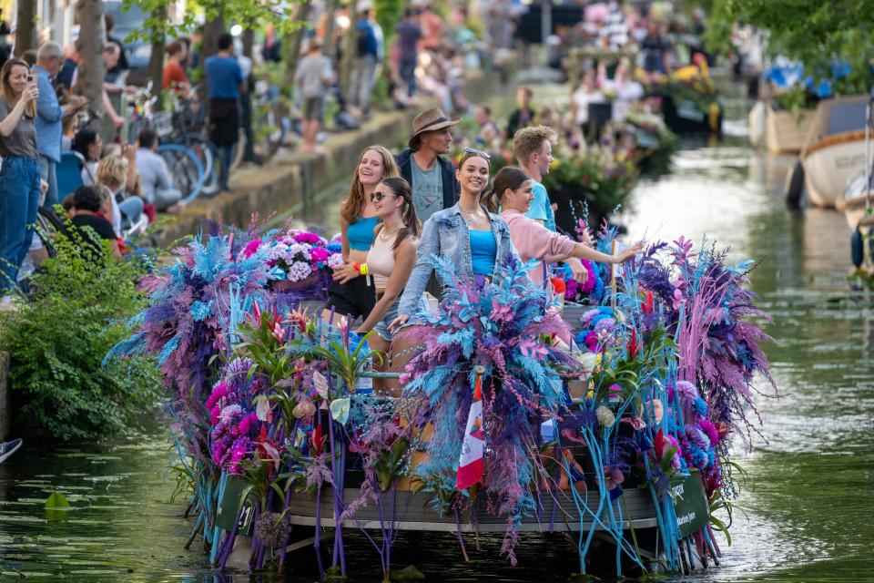 bloemen planten corso westland | mooiwatplantendoen