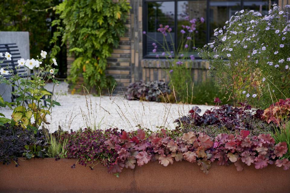 herfstplanten | purperklokje | border herfst