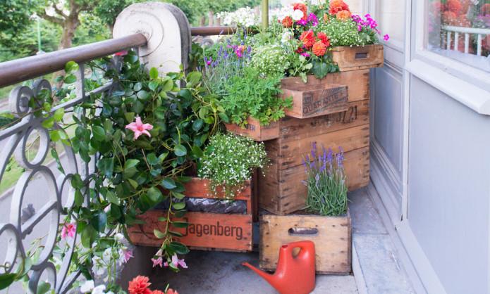 Urban gardening Urban gardening - mooiwatplantendoen.nl