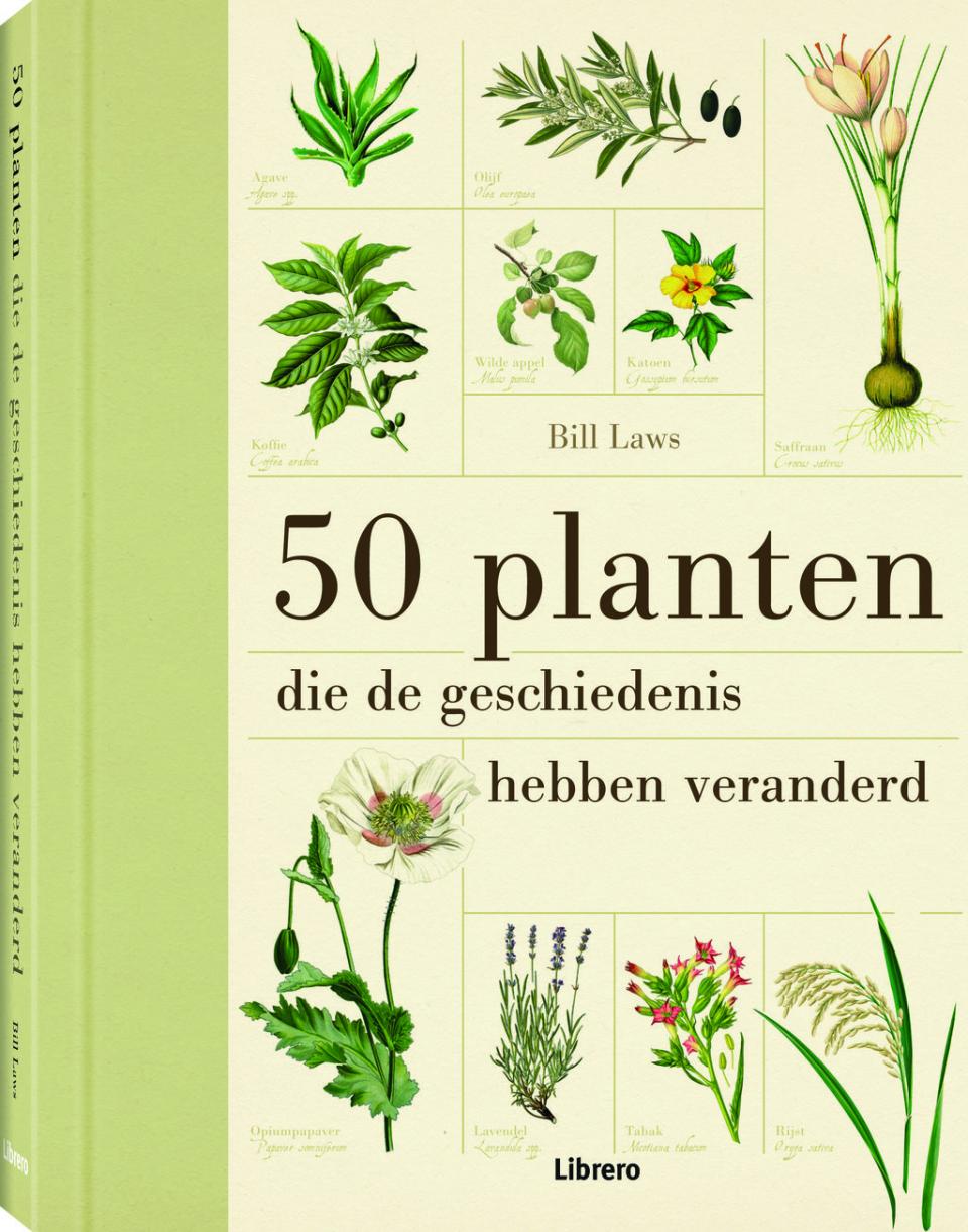 50 planten die de geschiedenis hebben veranderd | Mooiwatplantendoen.nl