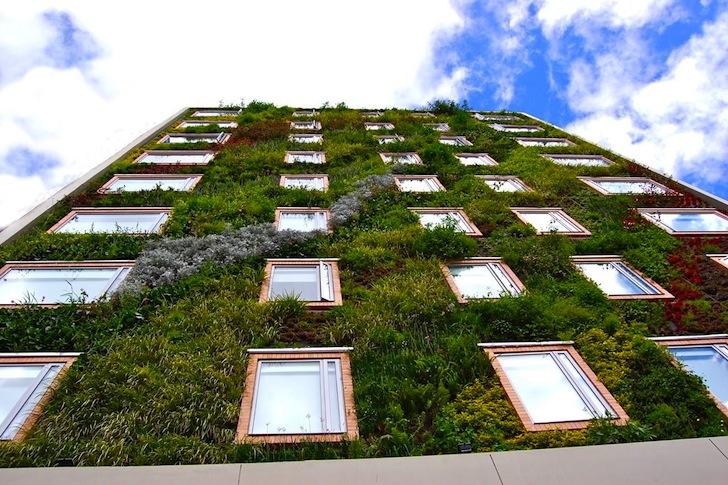 Luxe eco-hotels met een plantentwist mooiwatplantendoen.nl