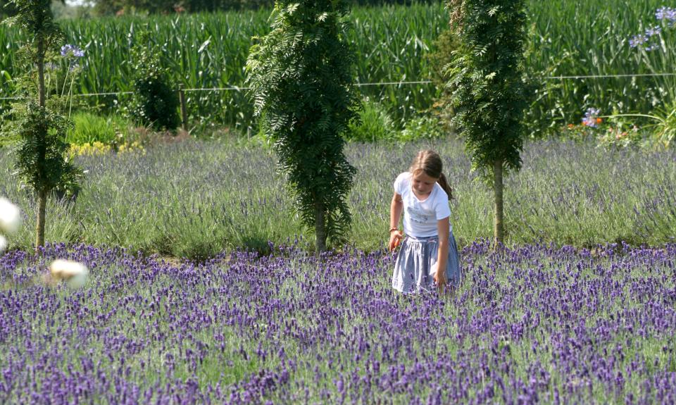 Pluktuinen mooiwatplantendoen.nl