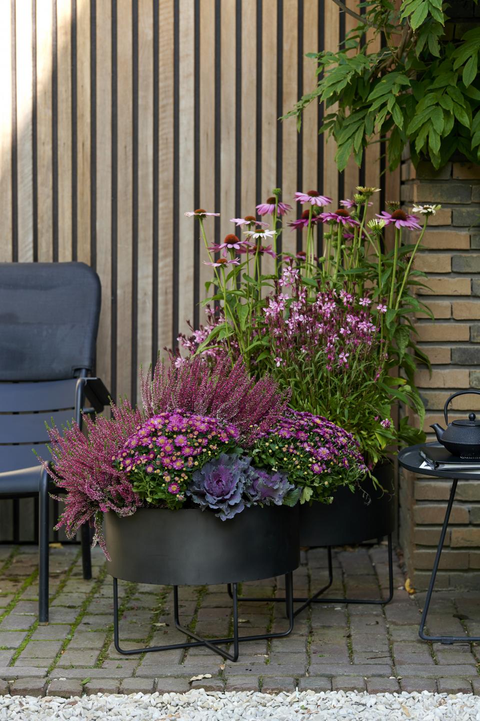 De kleuren van de nazomer | Mooiwatplantendoen.nl