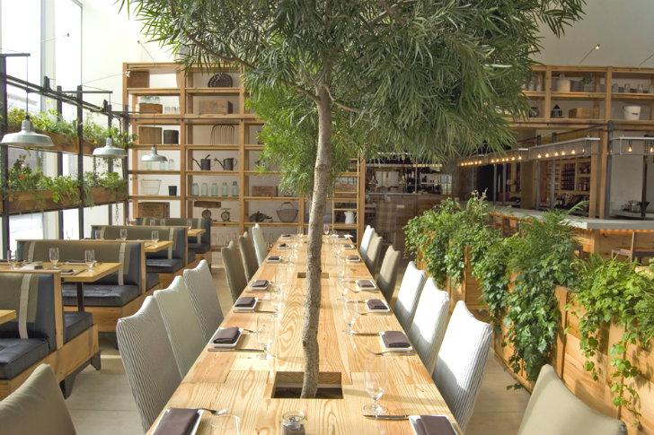 Niet alleen het eten in JG Domestic, ook de planten komen uit de directe omgeving Eten met het betere urban bosgevoel mooiwatplantendoen.nl