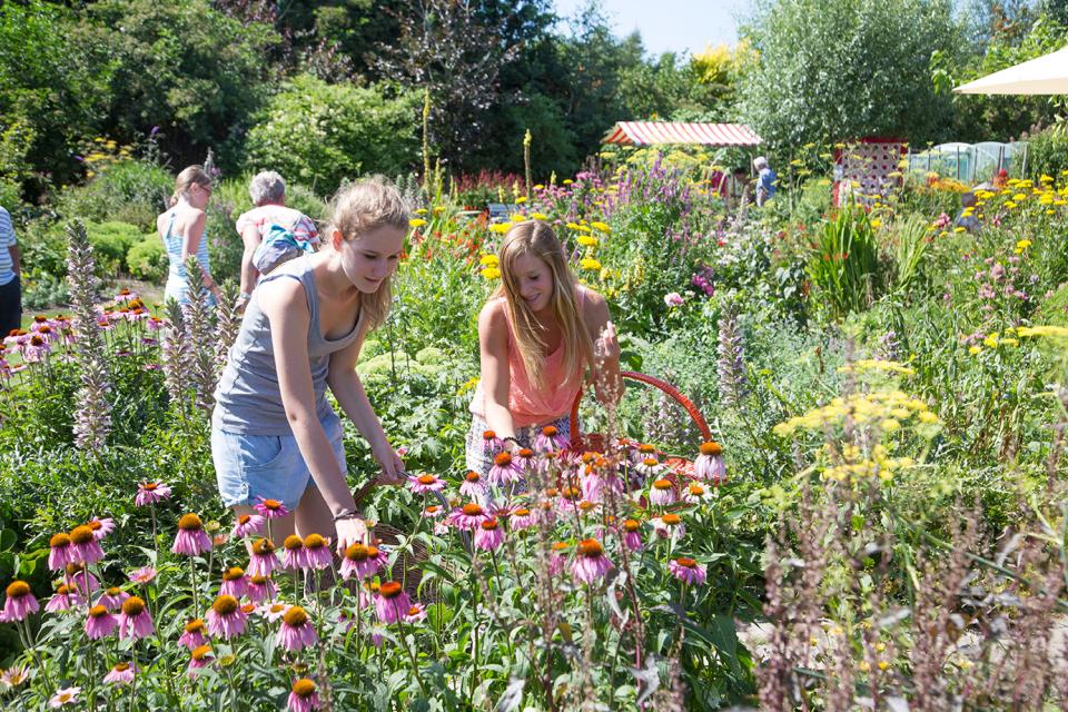 Pluktuinen mooiwatplantendoen.nl