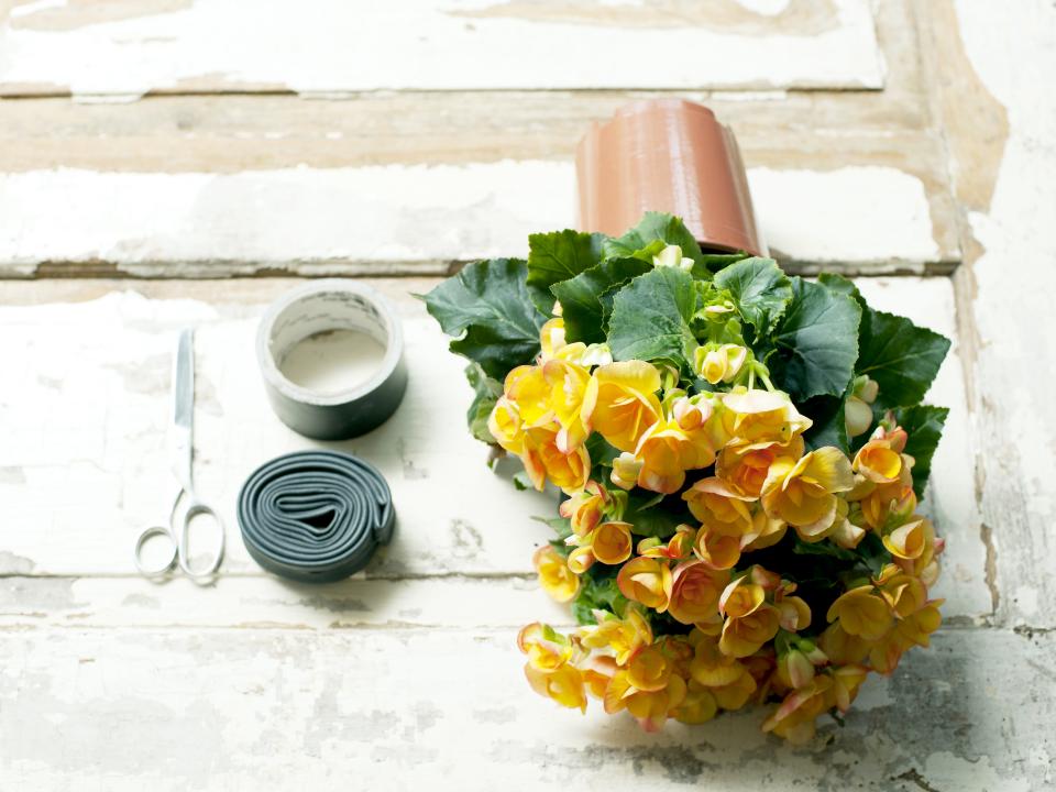 DIY-tip: Stoere streetwise Begonia’s DIY-tip: Stoere streetwise Begonia’s Mooiwatplantendoen.nl