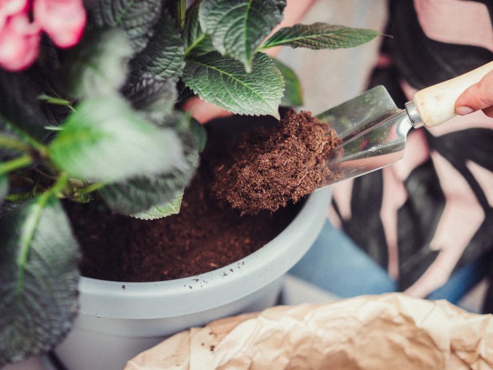 Buitenplant bemesten Mooiwatplantendoen.nl