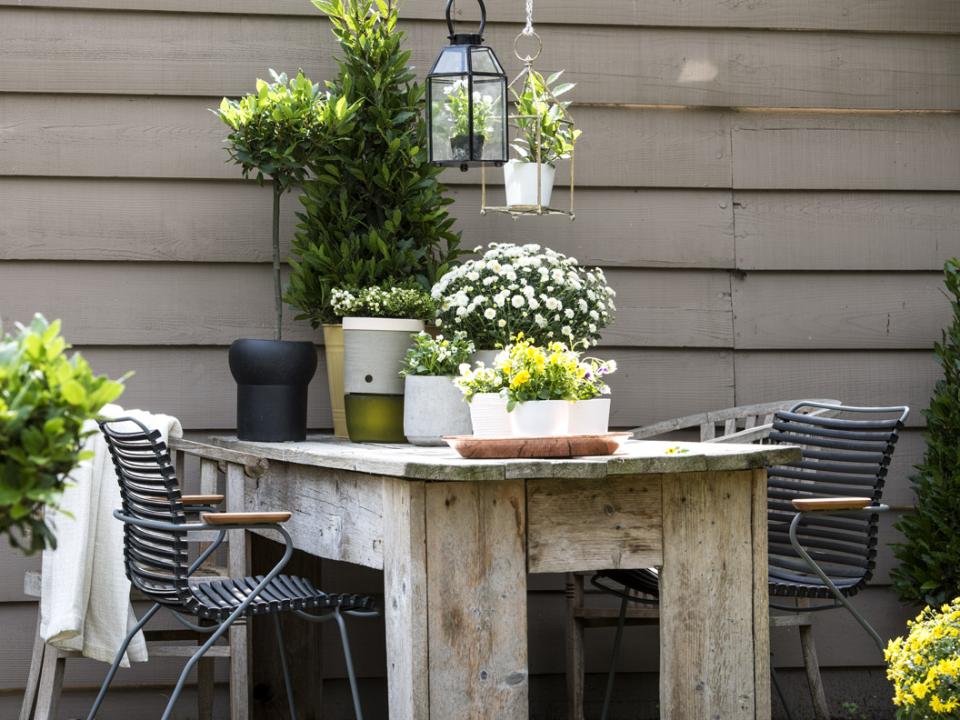 Herfsttrend 2015: comfortabel en luxe Herfsttrend 2015: comfortabel en luxe Mooiwatplantendoen.nl