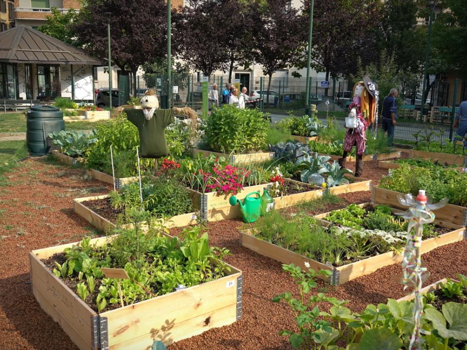 Stadslandbouw Mooiwatplantendoen.nl