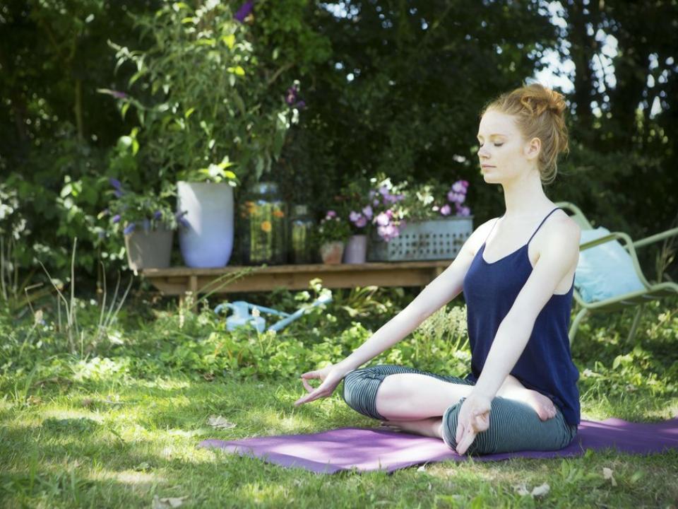 Yoga met planten Mooiwatplantendoen.nl