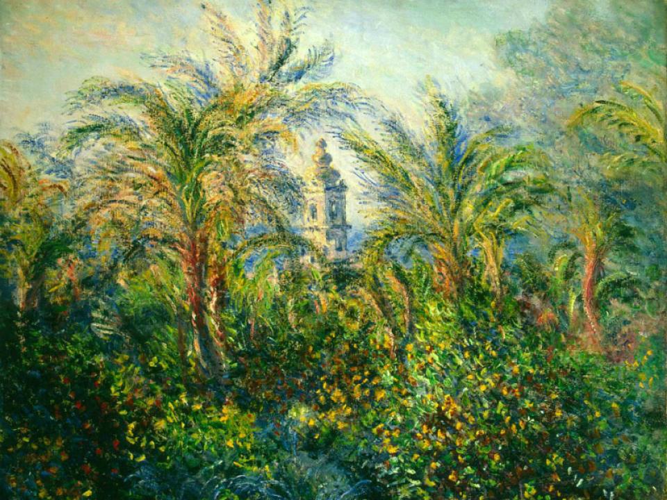 Mooiwatplantendoen.nl Exclusieve Palmen Kunst Mooiwatplantendoen.nl Exclusieve Palmen Kunst