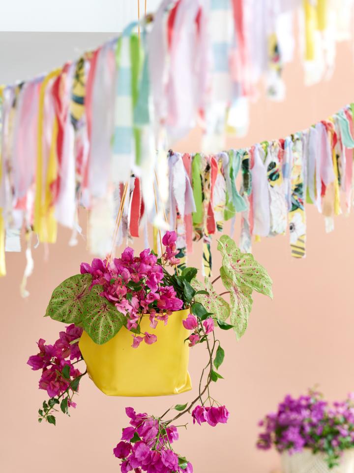 Hang zelf de slingers op met bougainvillea Mooiwatplantendoen.nl