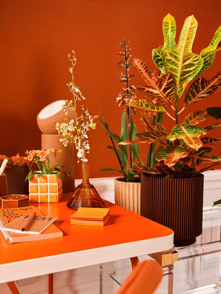 oranje planten home office