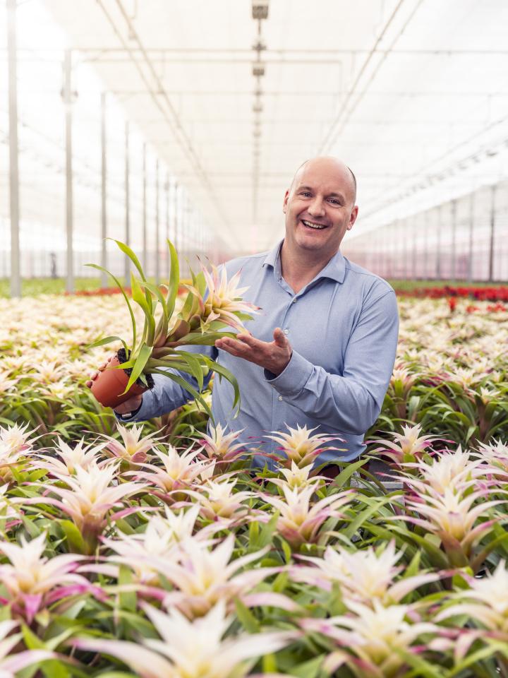 siegfried bunnik bromelia specialist | mooiwatplantendoen