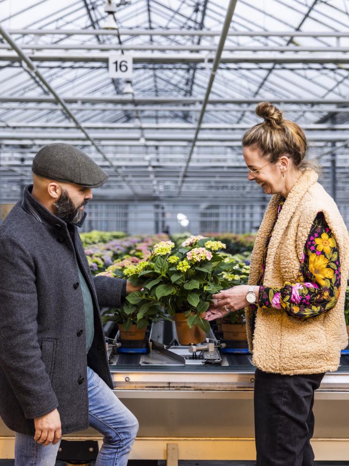 kom in de kas 1 en 2 april | mooiwatplantendoen