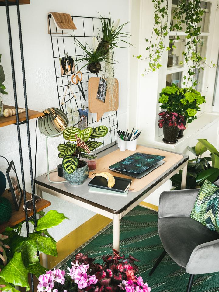 thuiskantoor planten | groene home office | thuiswerken