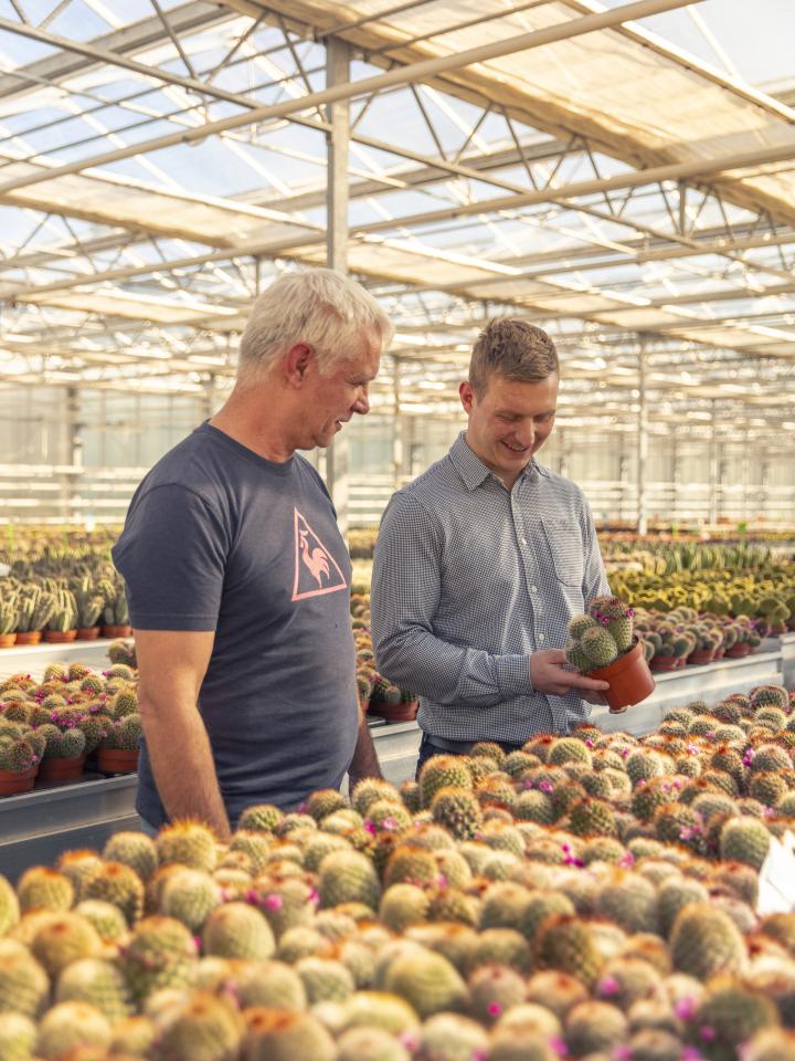 Kom in de Kas | Kwekerij Ubink | Cactus kweker