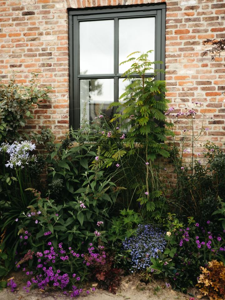 inspiratie geveltuin | inspiratie border | vergroenen