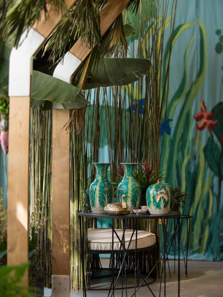 The Wunderkammer, Exoticism - Carola Paas The Wunderkammer, Exoticism - Carola Paas Mooiwatplantendoen.nl