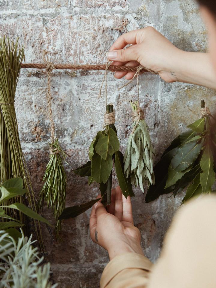 routine Goed gevoel Mm DIY: VERSE KRUIDEN DROGEN | Mooi wat planten doen