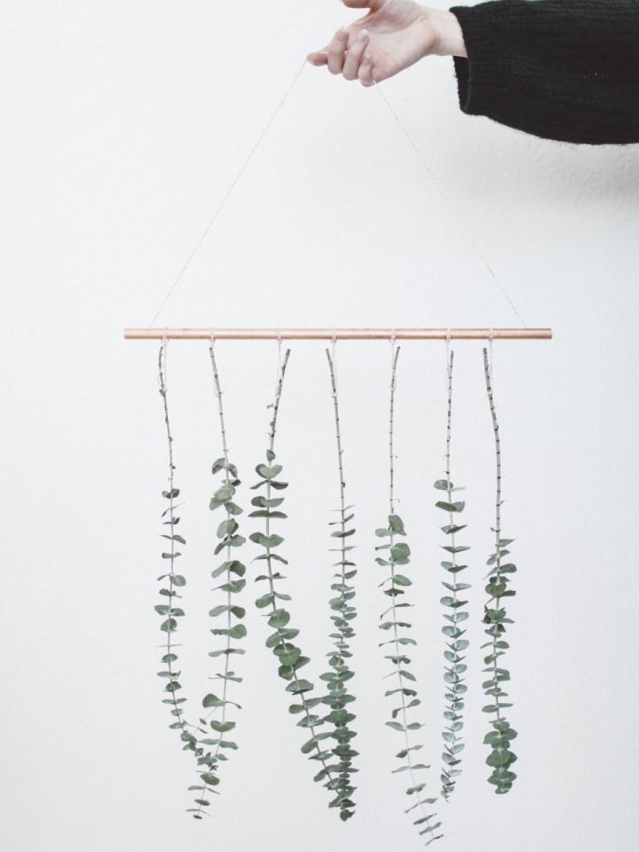 DIY: muurhanger met Eucalyptus | Mooiwatplantendoen.nl