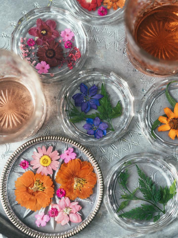 DIY: plant onder je glas | Mooi wat planten doen