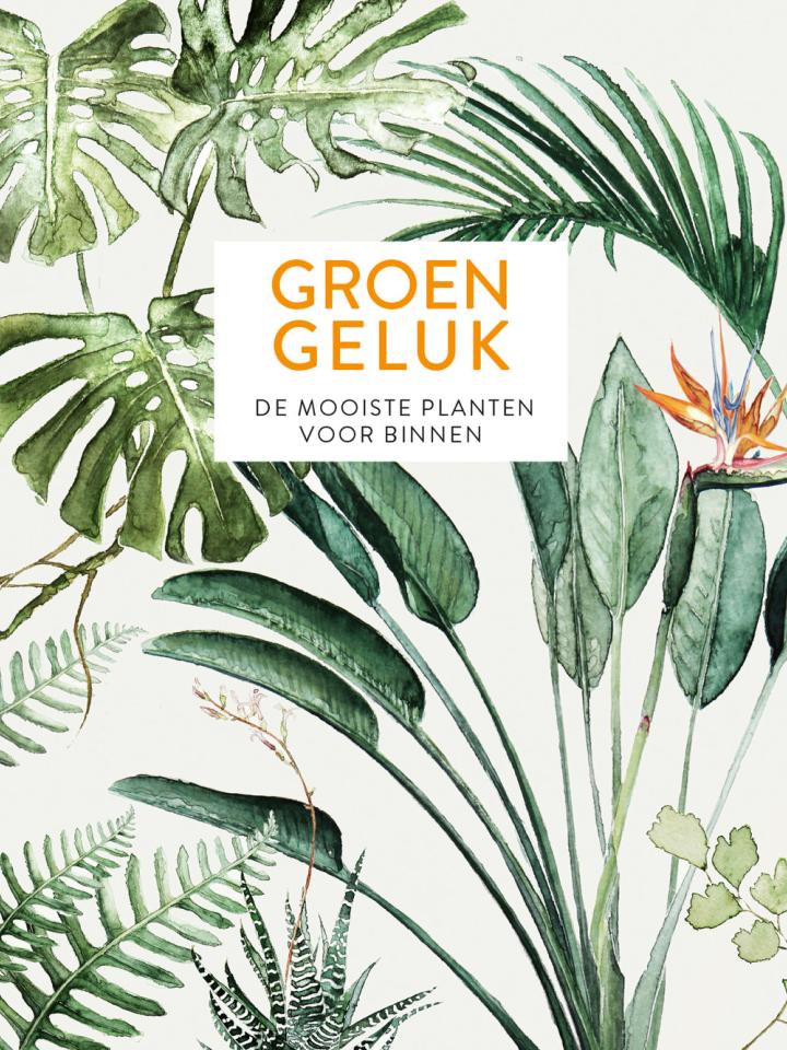 Groen geluk; de mooiste planten voor binnen  Mooiwatplantendoen.nl