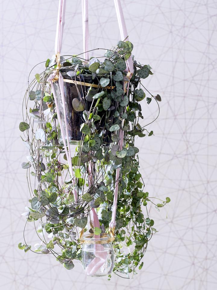 Hanging plants DIY thejoyofplants.co.uk