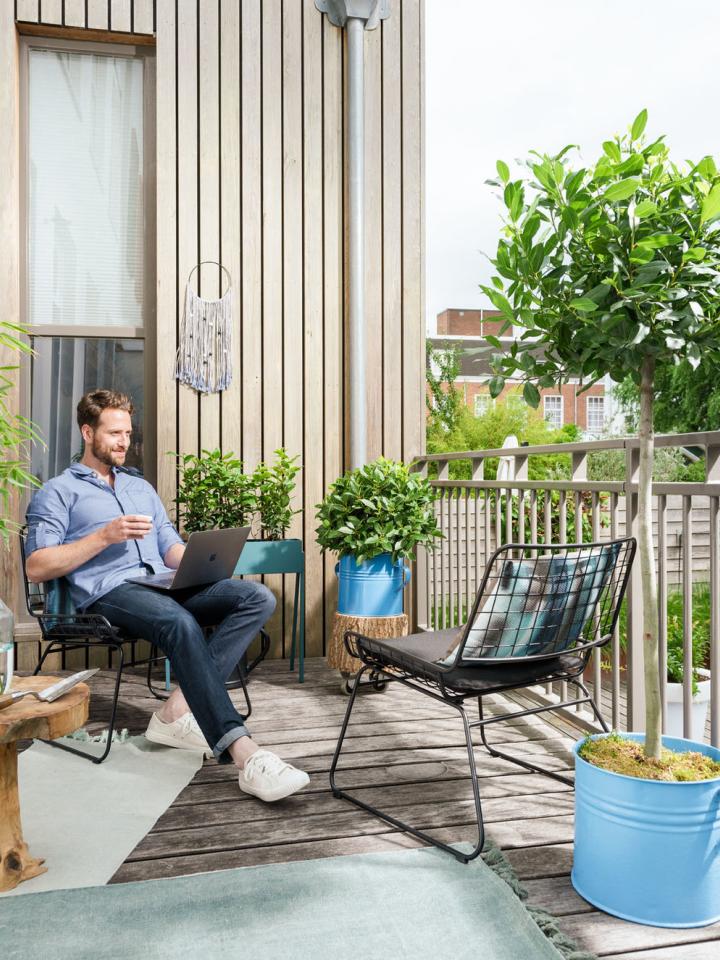 laurier balkon mooiwatplantendoen.nl