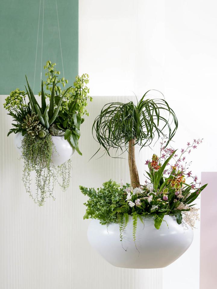 Herfst/Winter 2020 Trend Collectie: Inner Retreat | Mooiwatplantendoen.nl