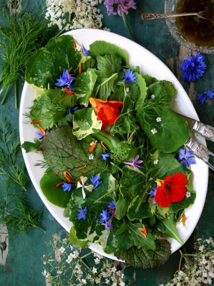 Zomerse salade uit de tuin Mooiwatplantendoen.nl