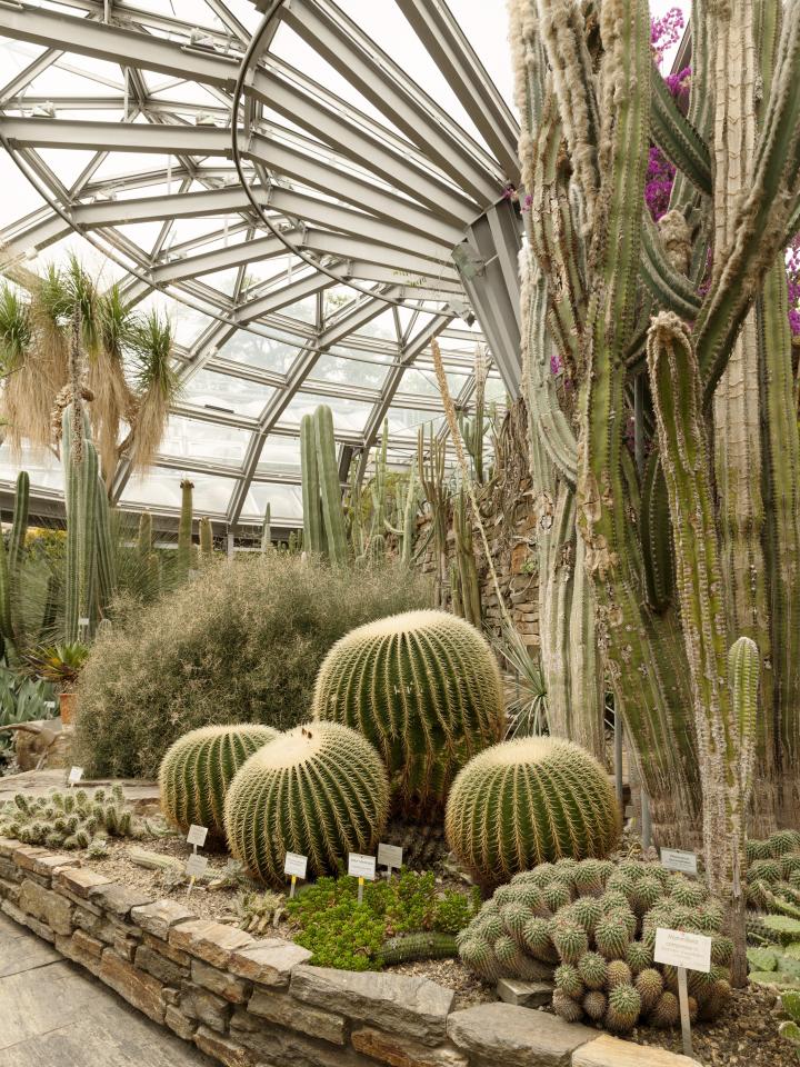 Botanische tuinen in Europa Botanische tuinen in Europa - Berlijn Mooiwatplantendoen.nl