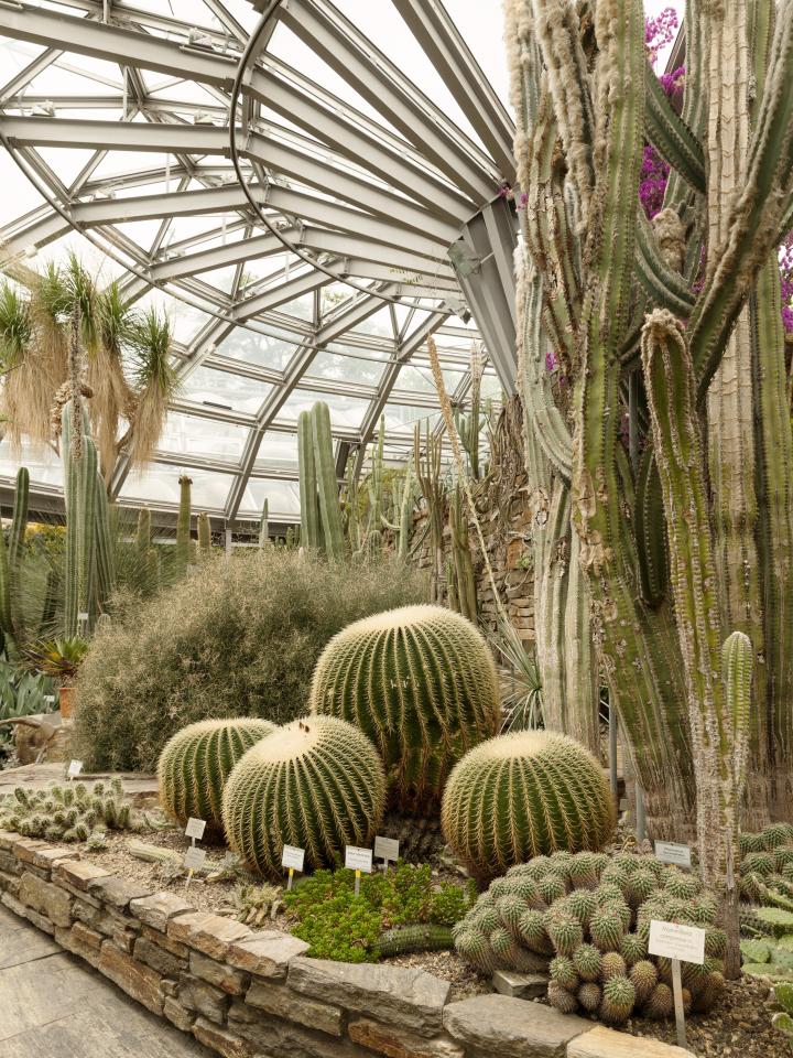 Botanische tuinen in Europa - Berlijn Mooiwatplantendoen.nl