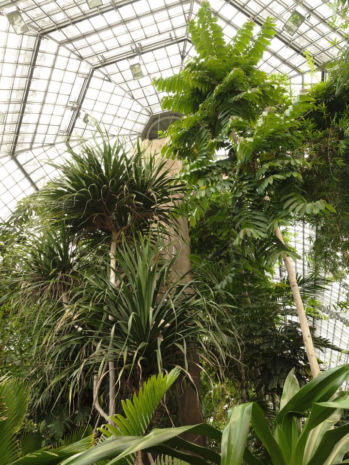 Botanische tuinen in Europa Botanische tuinen in Europa Mooiwatplantendoen.nl