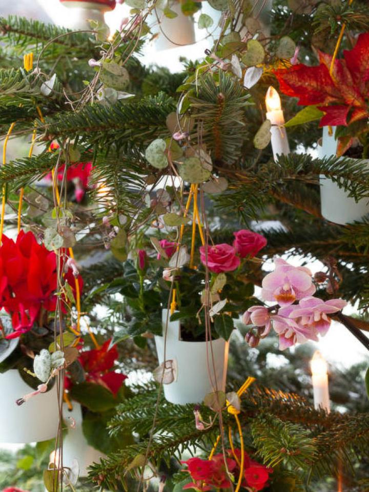 Een kerstboom gedecoreerd met planten