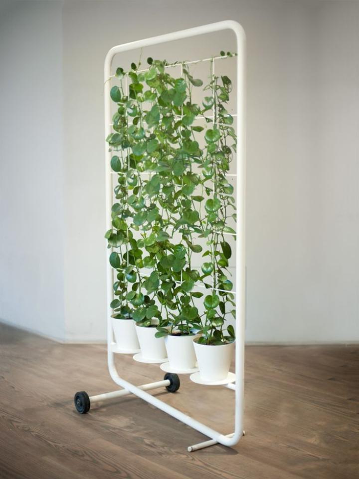 verbannen Spectaculair Mier Inspiratie voor groene roomdividers | Mooi wat planten doen