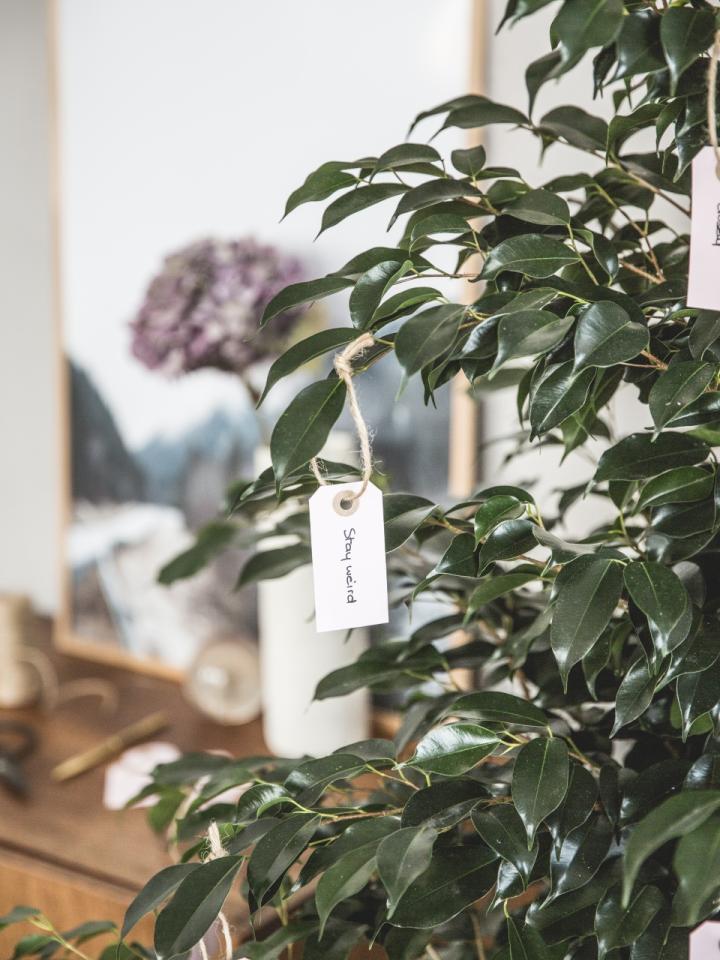 Plant je goede voornemens