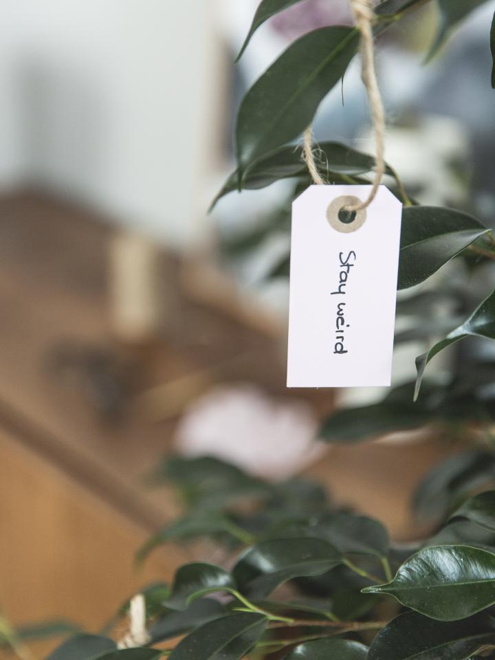 Plant je goede voornemens