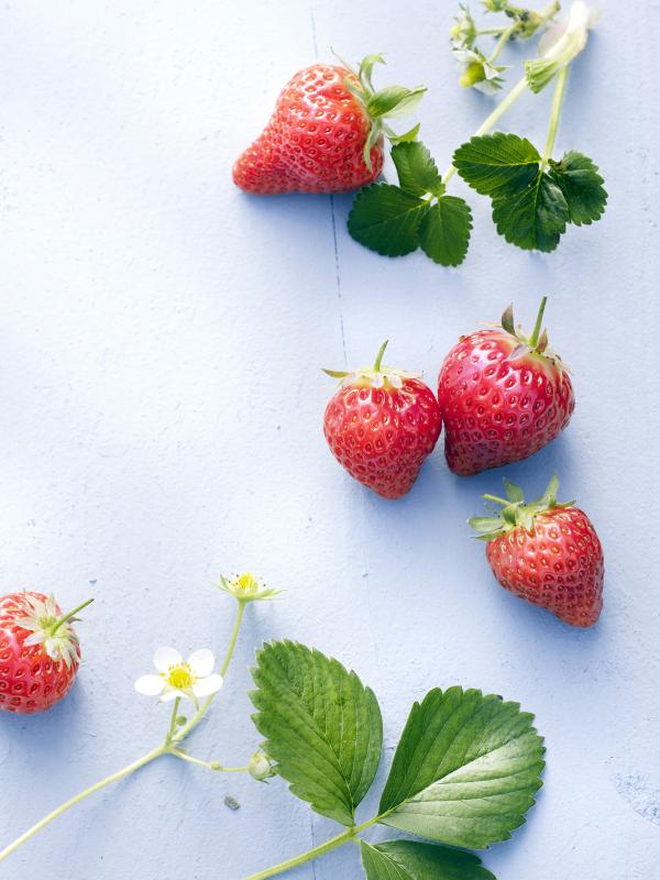 Aardbeien Mooiwatplantendoen.nl