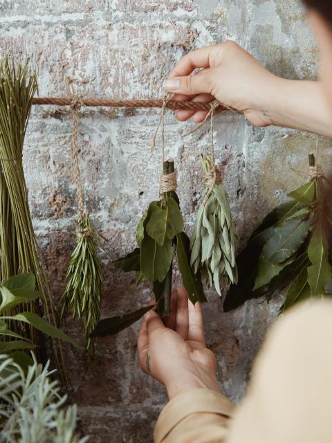 DIY: verse kruiden drogen | Mooiwatplantendoen.nl