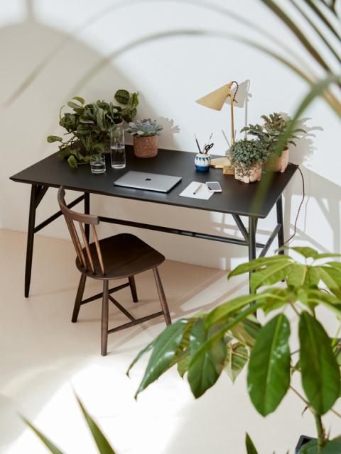 Groene stijlgids voor je huis | mooiwatplantendoen