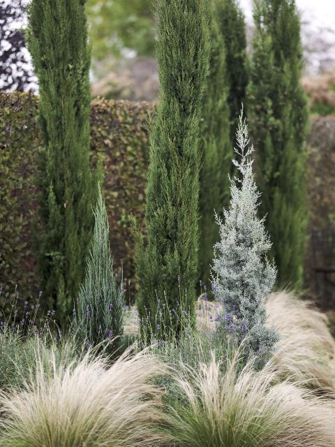 herfst in de tuin