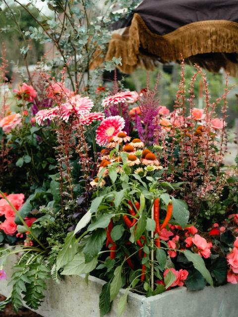 bloeiende planten border kweektafel | mooiwatplantendoen