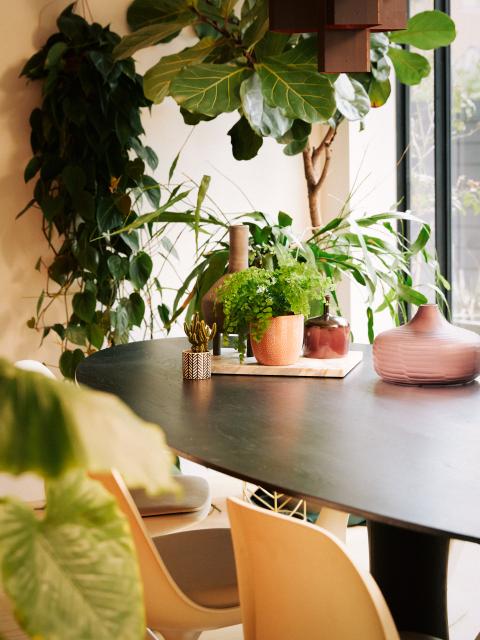 eettafel planten | groene eethoek | eetkamer planten