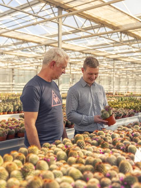 Kom in de Kas | Kwekerij Ubink | Cactus kweker