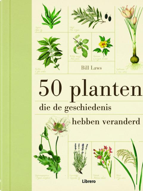 50 planten die de geschiedenis hebben veranderd | Mooiwatplantendoen.nl