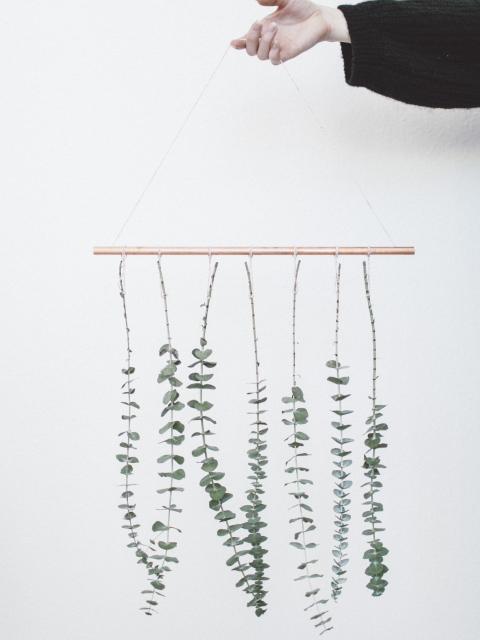 DIY: muurhanger met Eucalyptus | Mooiwatplantendoen.nl
